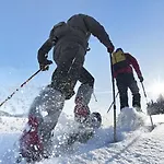 Appartamento Alpenflair - Mit Koenigscard *